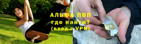 не бодяженный Ладушкин