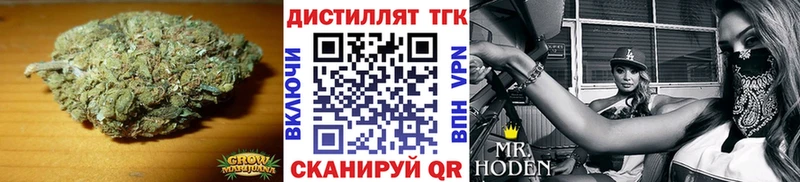Купить где  Куса  ТГК концентрат 