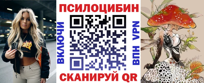 Купить закладки Куса Галлюциногенные грибы Psilocybine cubensis